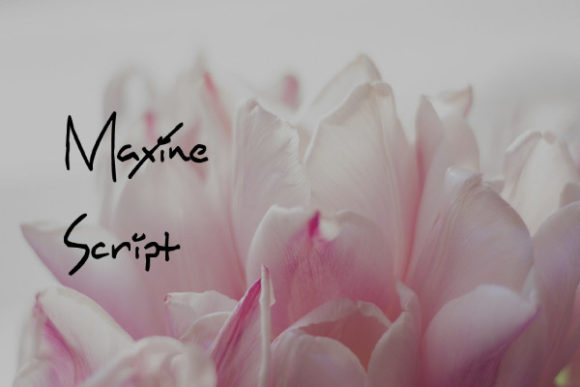 Maxine Script: A Font That Elevates Your Brand
