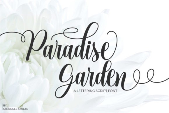 Paradise Garden Font for Creative Marketing