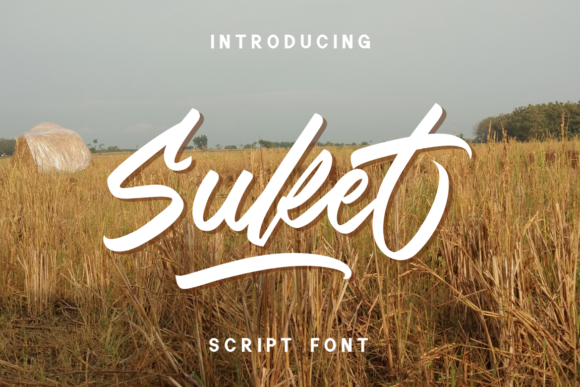 Suket: A Beautiful Script Font for Your Brand